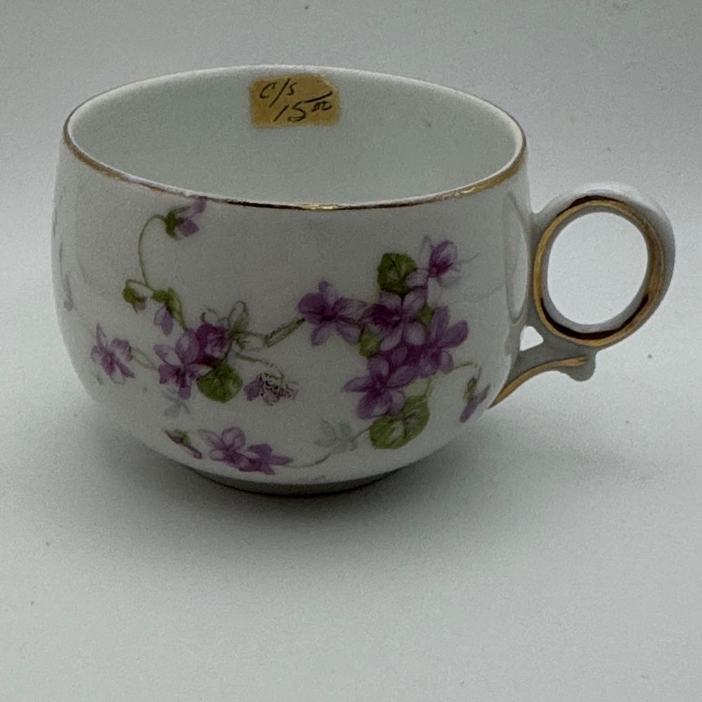 Victoria Austria 🇦🇹 Vintage tea cup with violets